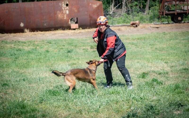 Muğla’nın Arama Kurtarma Köpekleri Tayga ve Foxy Sınavları Başarıyla Geçti