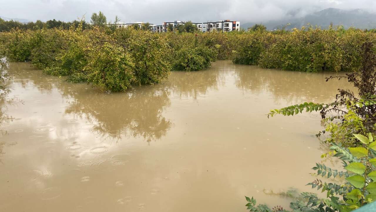 Muğla’da Sel Manzaraları: Deniz Kahverengiye Döndü, Yollar Kapandı