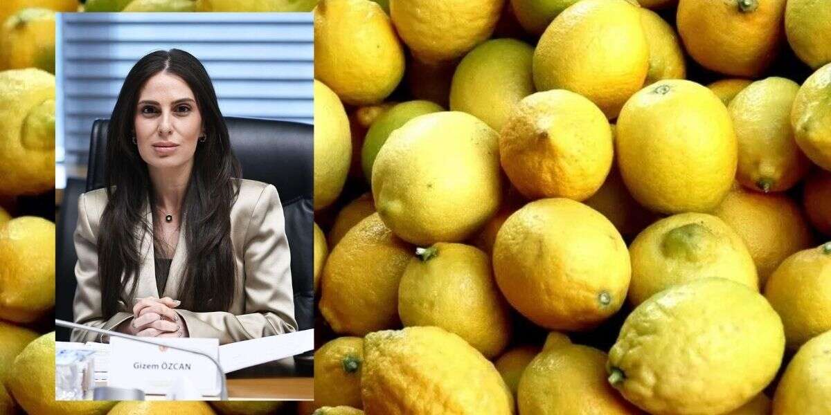 Gizem Özcan, Muğla’daki Limon Üreticilerinin Sorunlarını Meclis’e Taşıdı
