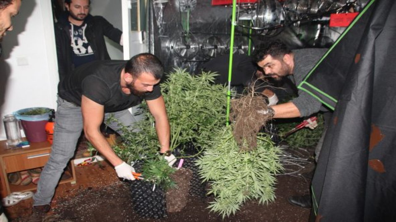 Lüks villada şoke eden manzara