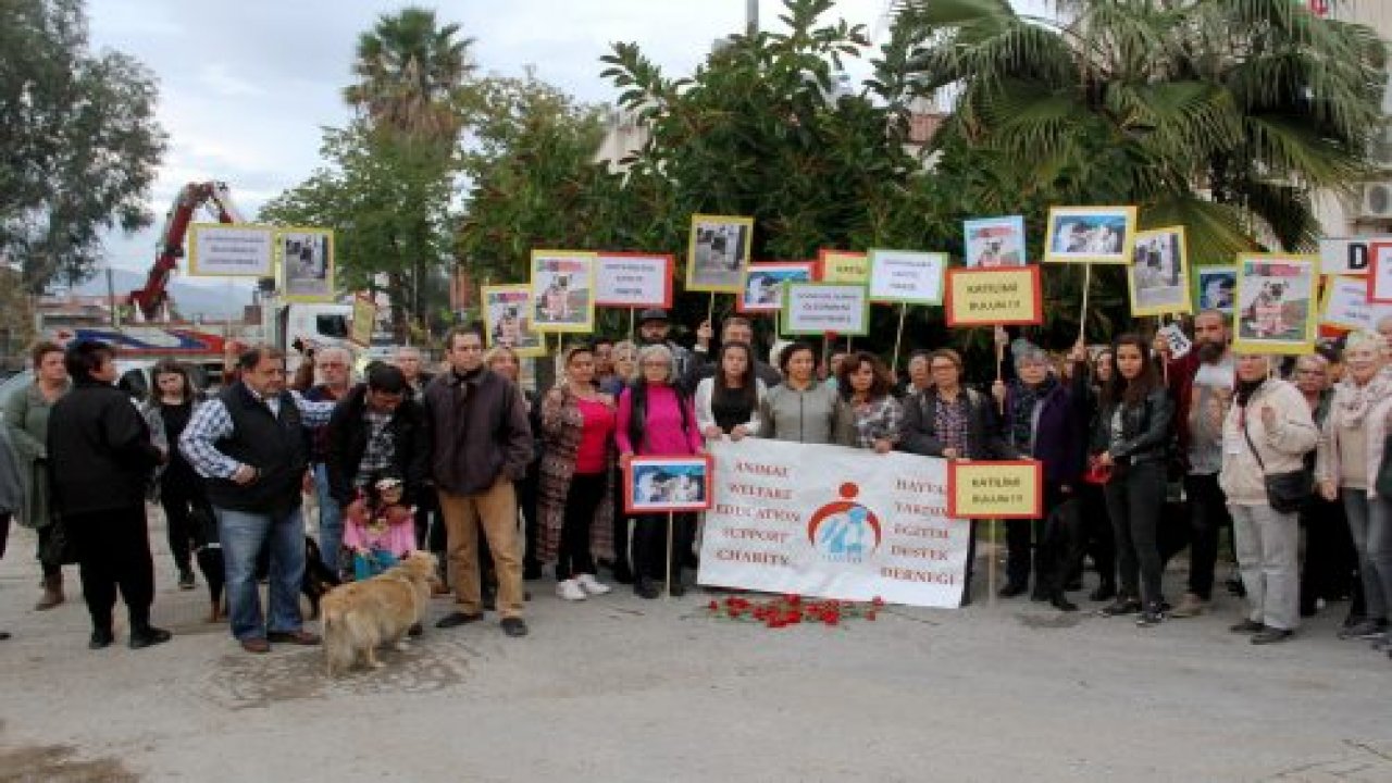 İki köpeğin zehirlenerek öldürülmesi protesto edildi