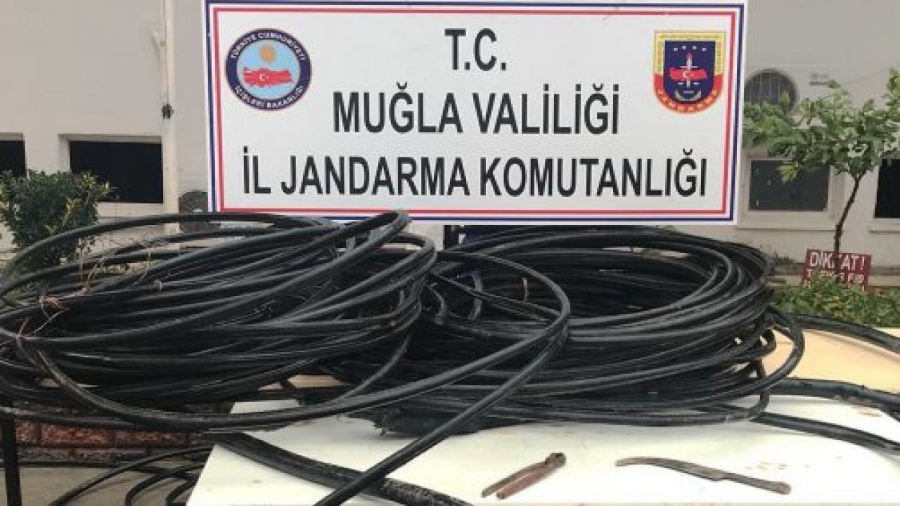 Kabloları keserken suçüstü yakalandılar