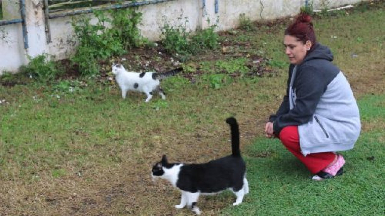 Marmarisli hayvanseverlerden çağrı