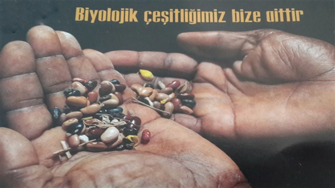 “ Tohumun İzinde” Projesi