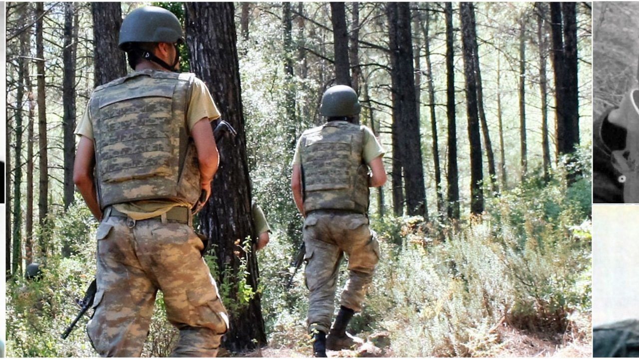 DARBECiLERDEN  HAiN PLAN