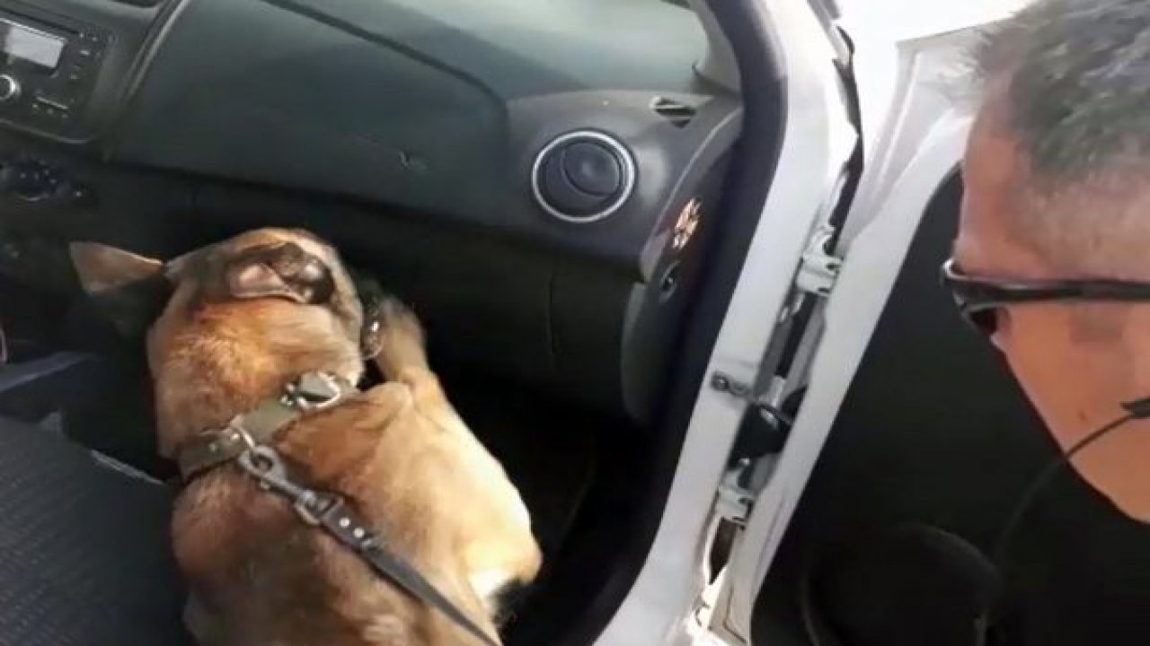 Oscar, Milas’ta uyuşturucuya geçit vermedi