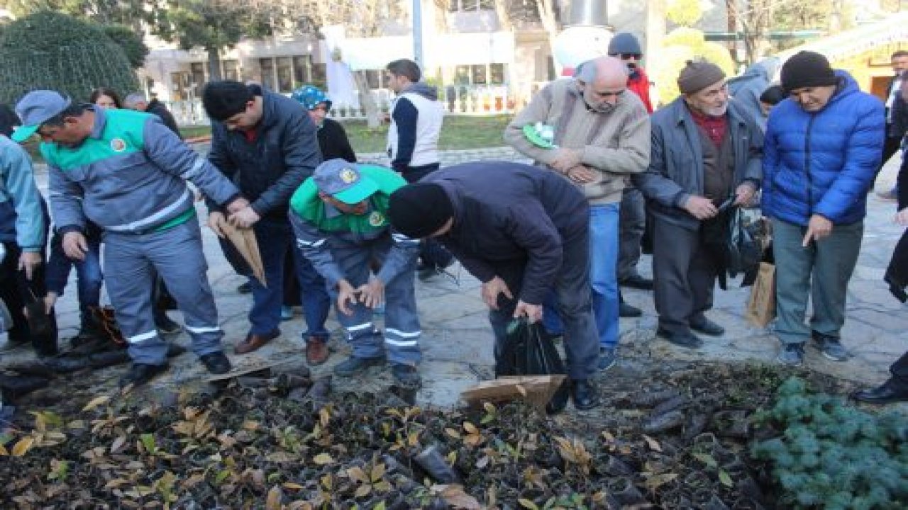 Menteşe'de 2019 fidan dağıtıldı