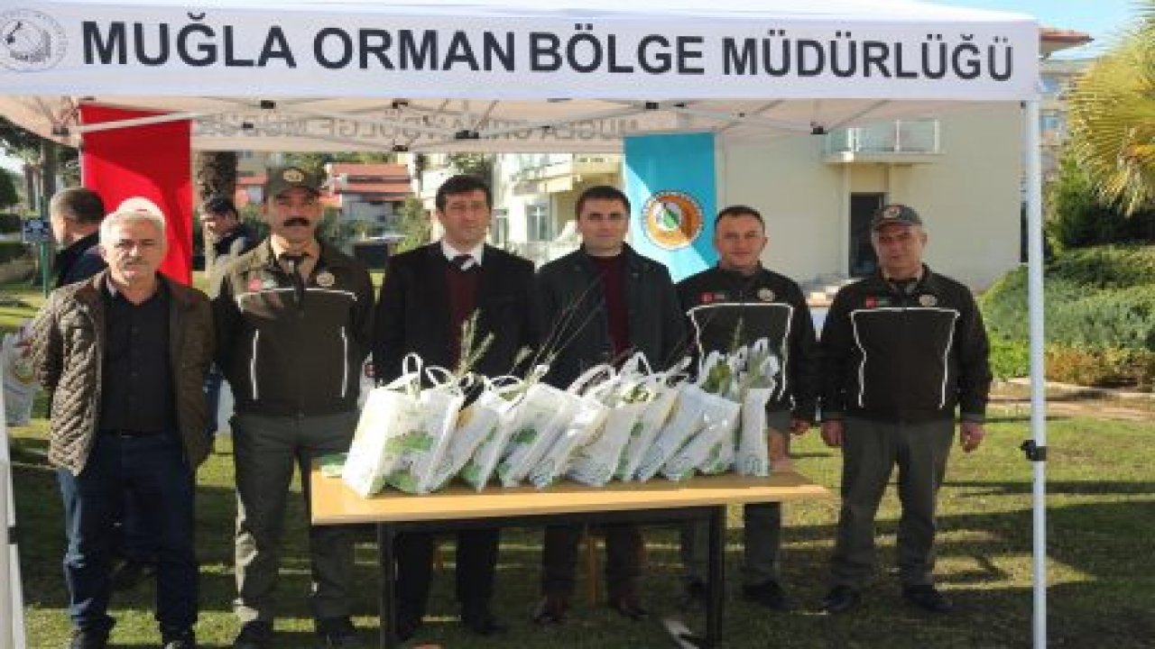 3500 adet fidan dağıtıldı