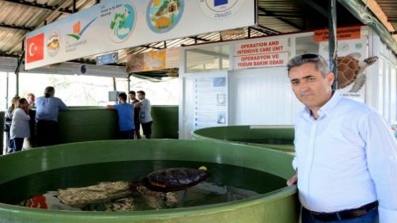 Carettaların ölüm sebebi naylon poşet