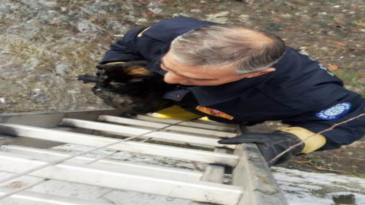 İtfaiye ekipleri seferber oldu