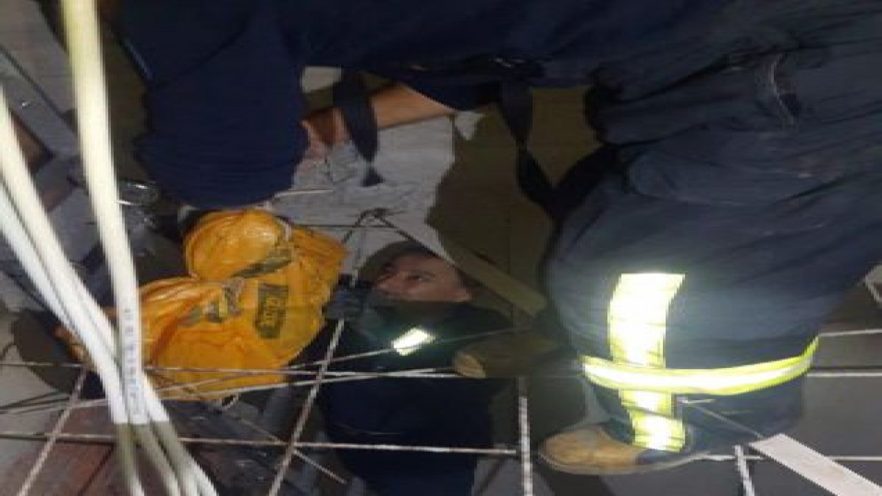 Kediyi itfaiye kurtardı