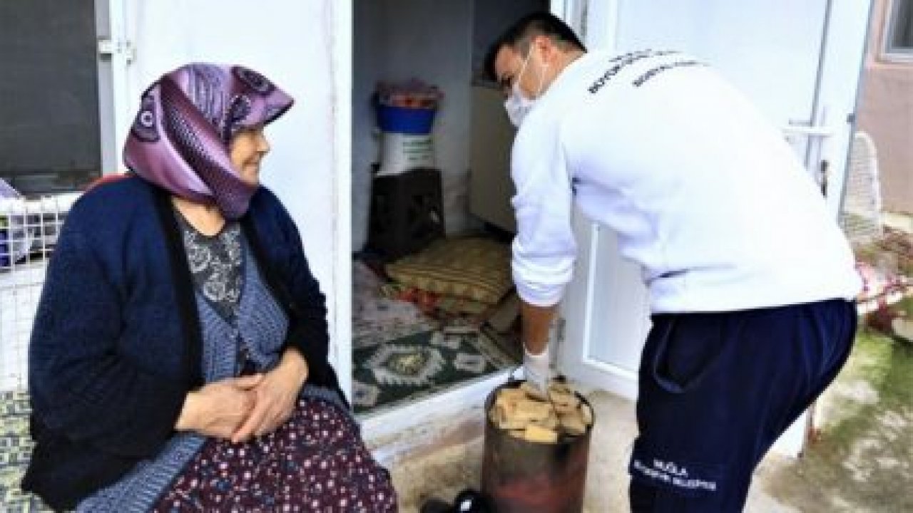 Büyükşehir Kırsaldaki Çınarların yanında