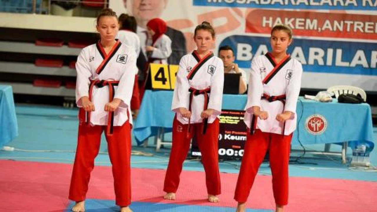 Taekwondocular  Türkiye’yi temsil edecek