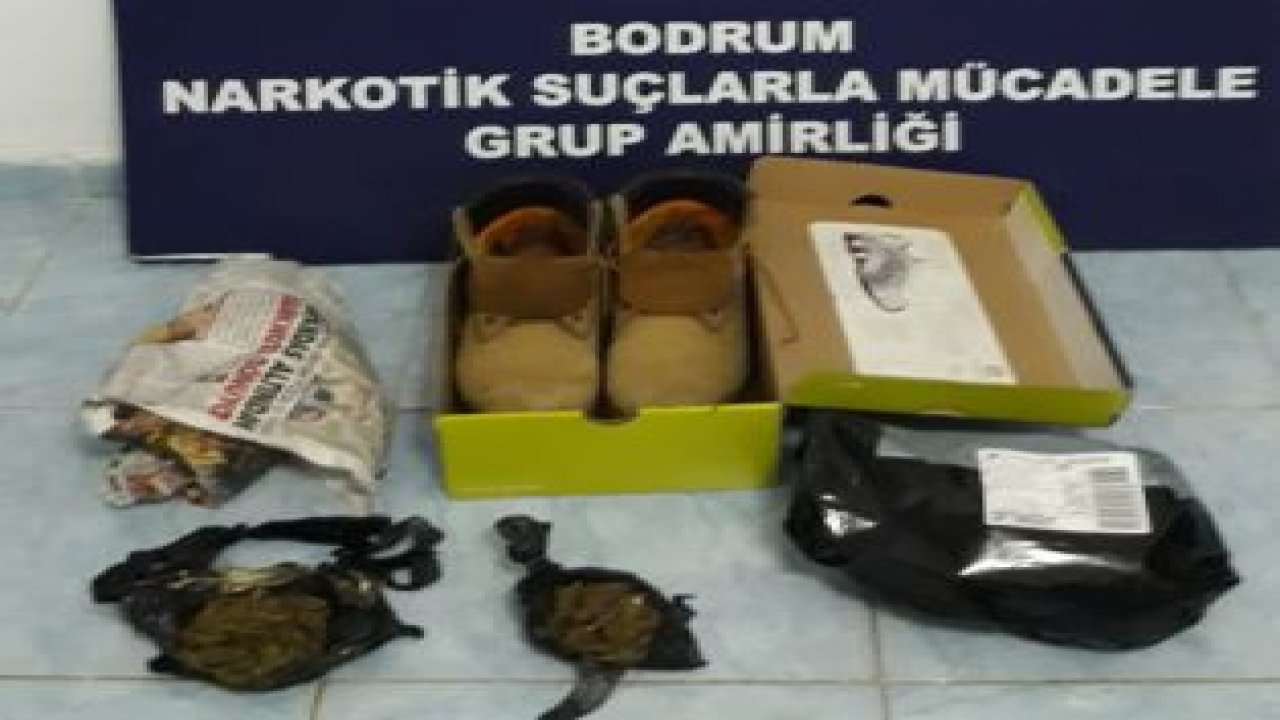 Kargodan uyuşturucu çıktı