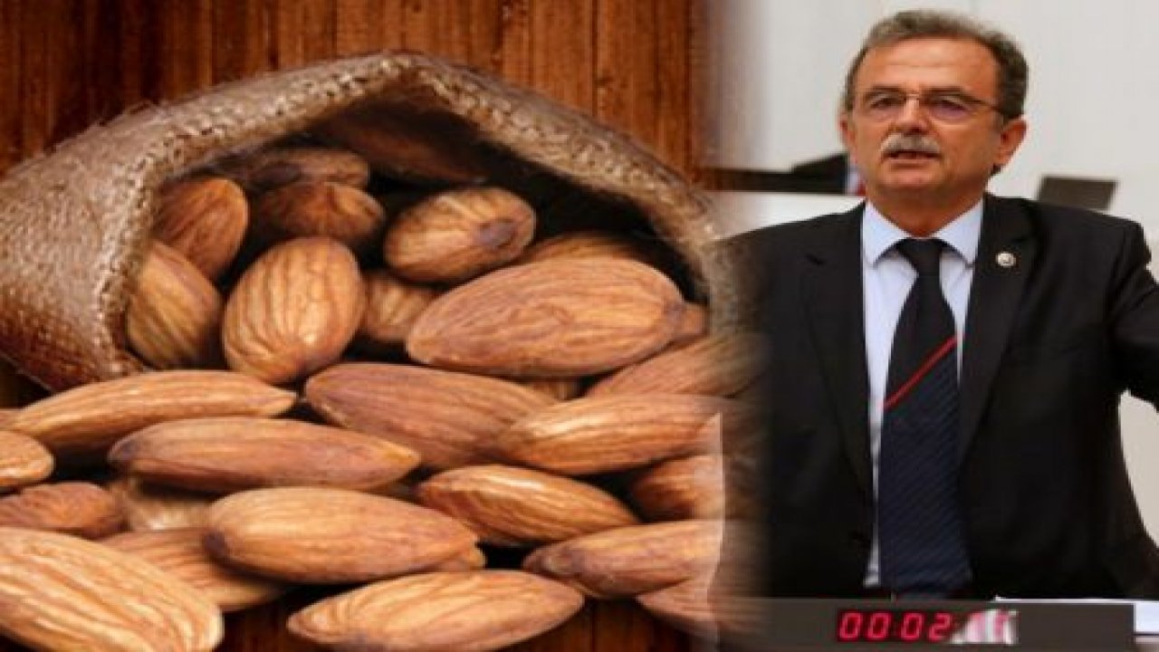 Datça’da  Badem üreticisi desleklensin