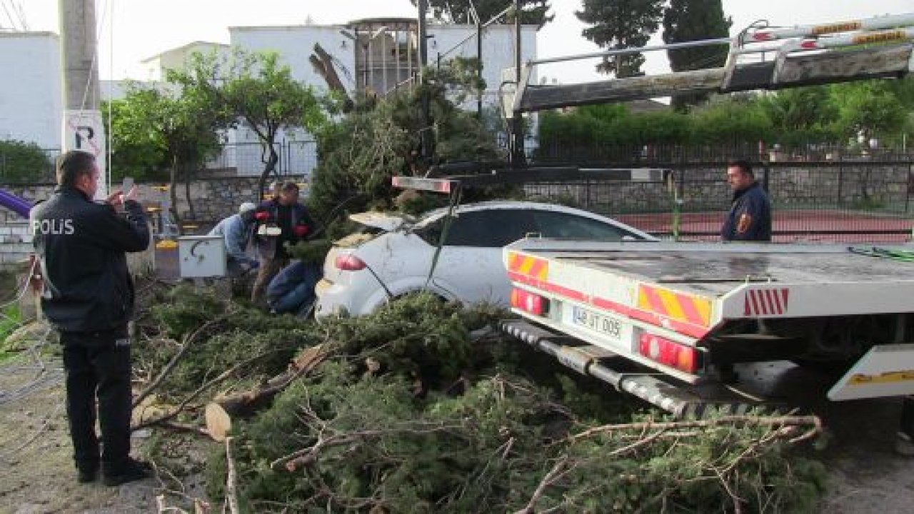 Fırtına Bodrum’u yıktı geçti