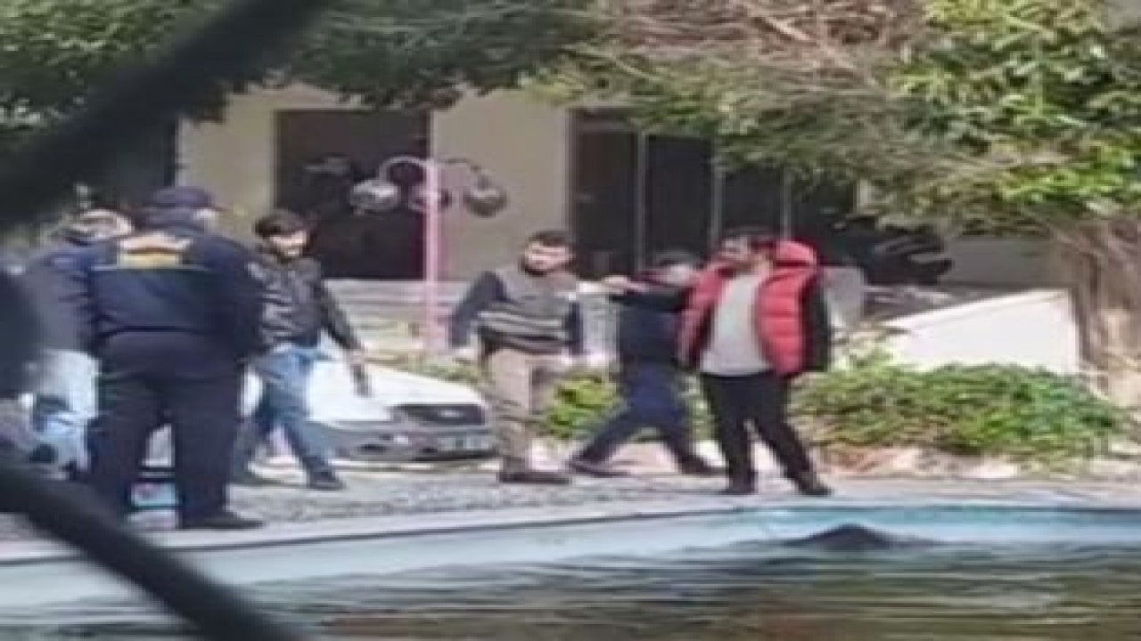 Marmaris’te bir domuz havuza düştü