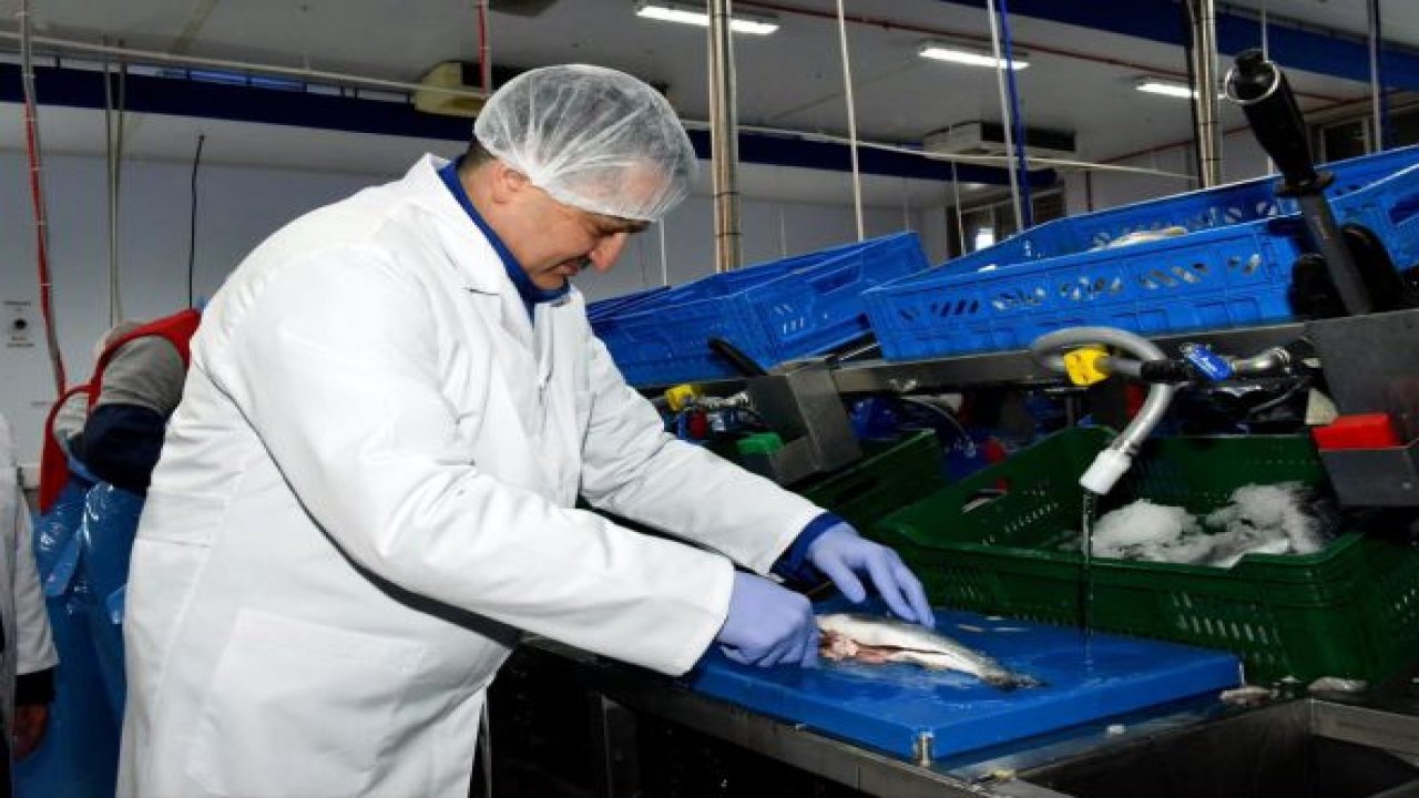 Tarım ve Orman Bakanı Açıkladı; 2 Milyar dolarlık balık satışı yapılacak