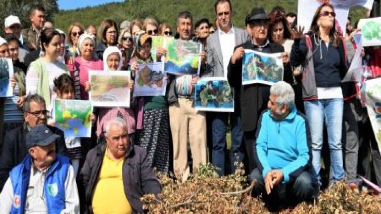Bodrum’da ormanıma dokunma eylemi