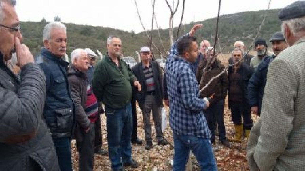 45 kursiyer budama kursu eğitimi aldı