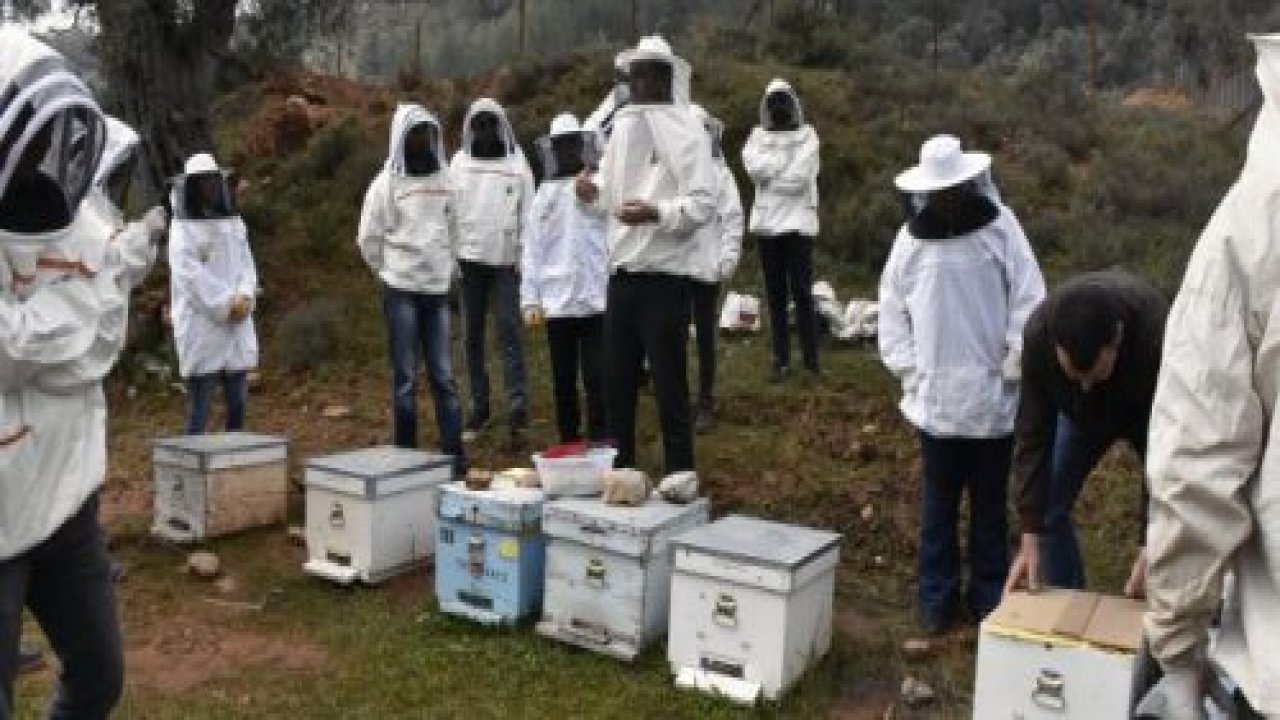 Kovan başı eğitimleri başladı