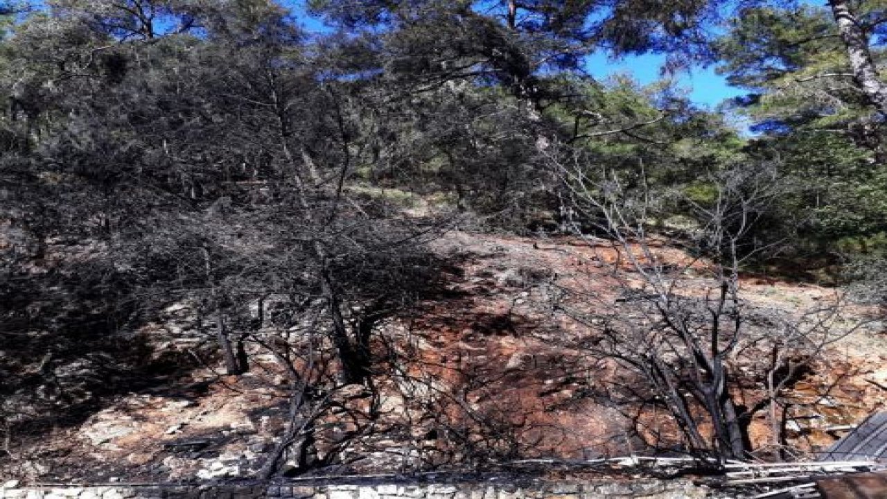 Fethiye'de orman yangını
