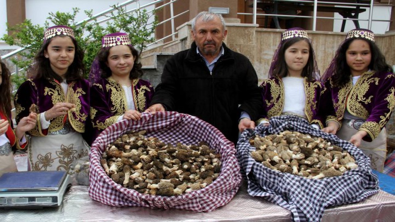 11. Dastar ve Kuzugöbeği Festivali