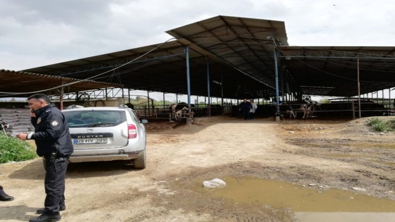 Çiftlikteki Gübre Çukurunda Çocuk Cesedi Bulundu