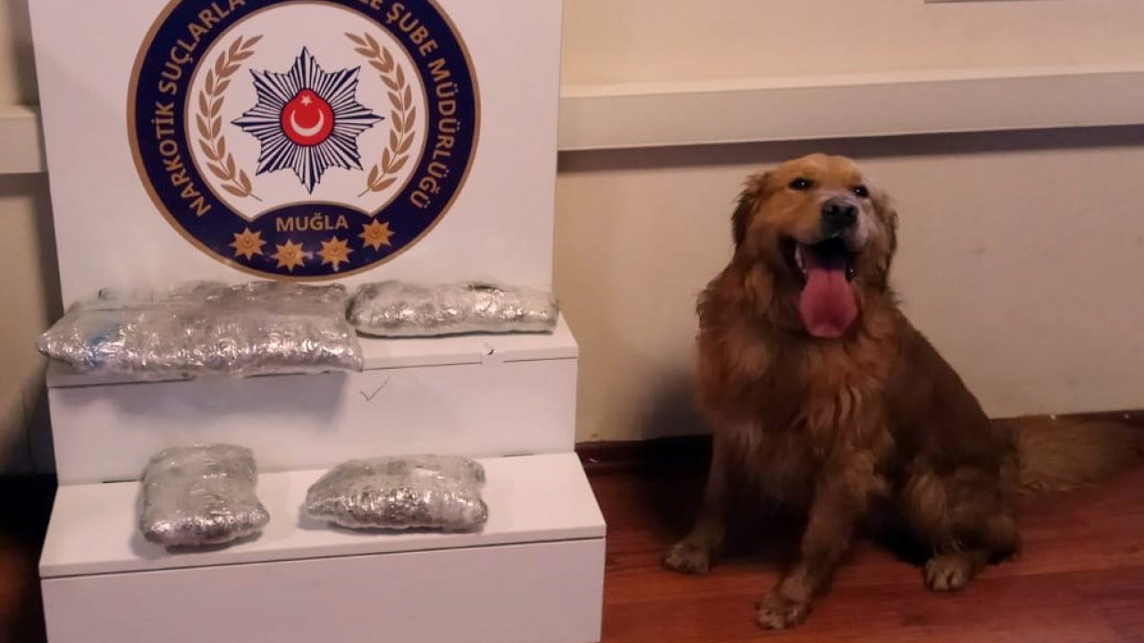 100 bin lira değerinde uyuşturucu ele geçirildi