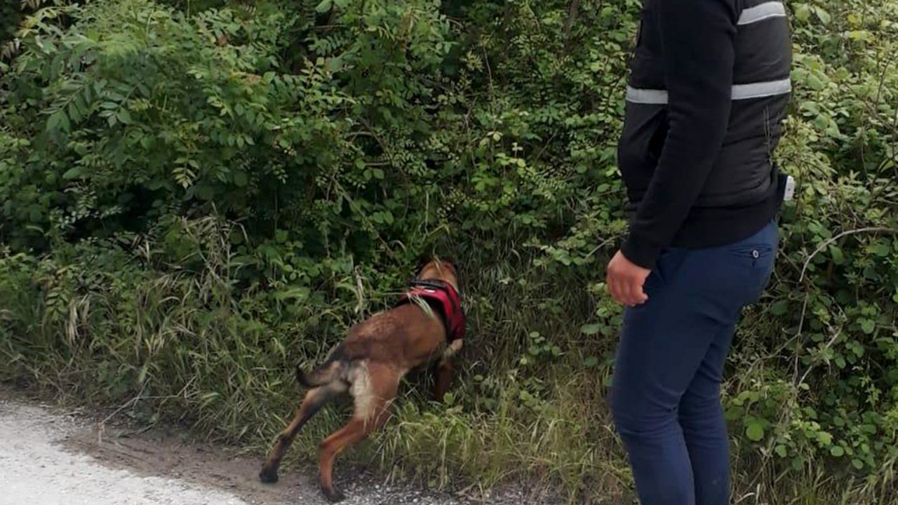 Cinayetin Sırrını 'Peçe' Çözdü