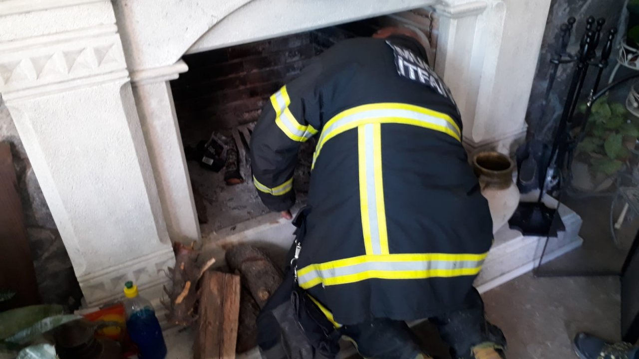 Şömine Bacasına Sıkışan Yavru Kedileri İtfaiye Kurtardı