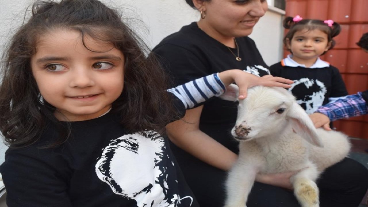 Minik Kalplere Hayvan Sevgisi Aşılanıyor