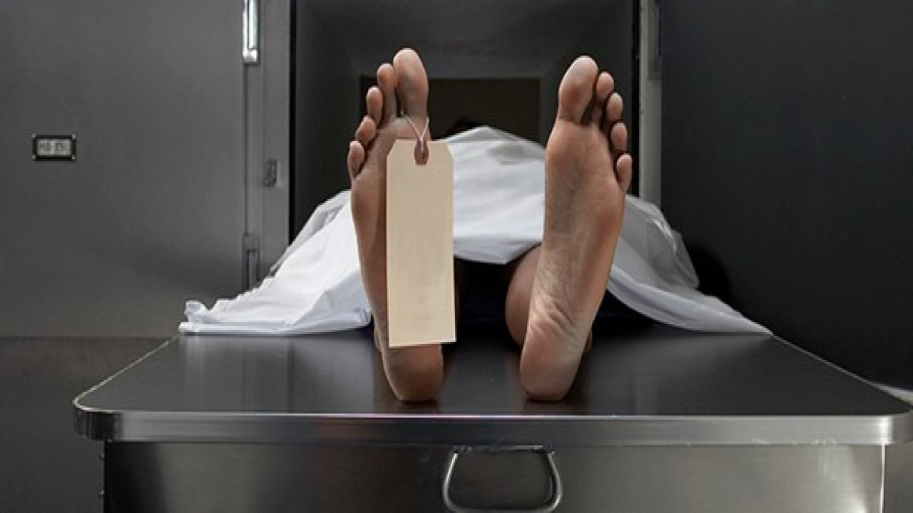 Muğla’nın Ölüm Nedeni Dolaşım Sistemi Hastalıkları