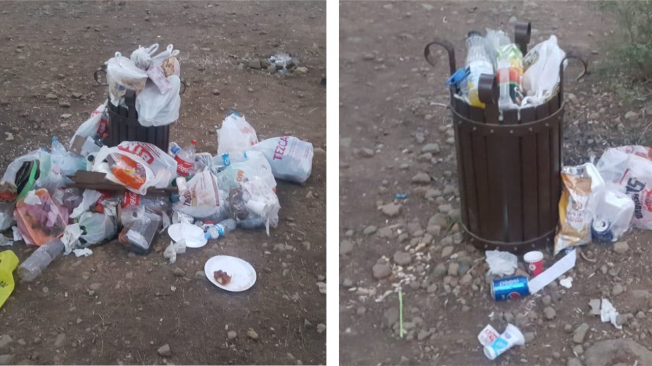 Ula Gölette Çevre Katliamı