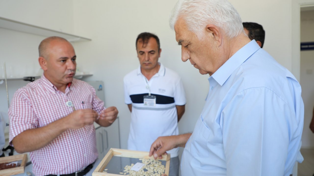 Muğla’da Üretilen Yerel Tohumlar 42 İlde Toprakla Buluştu