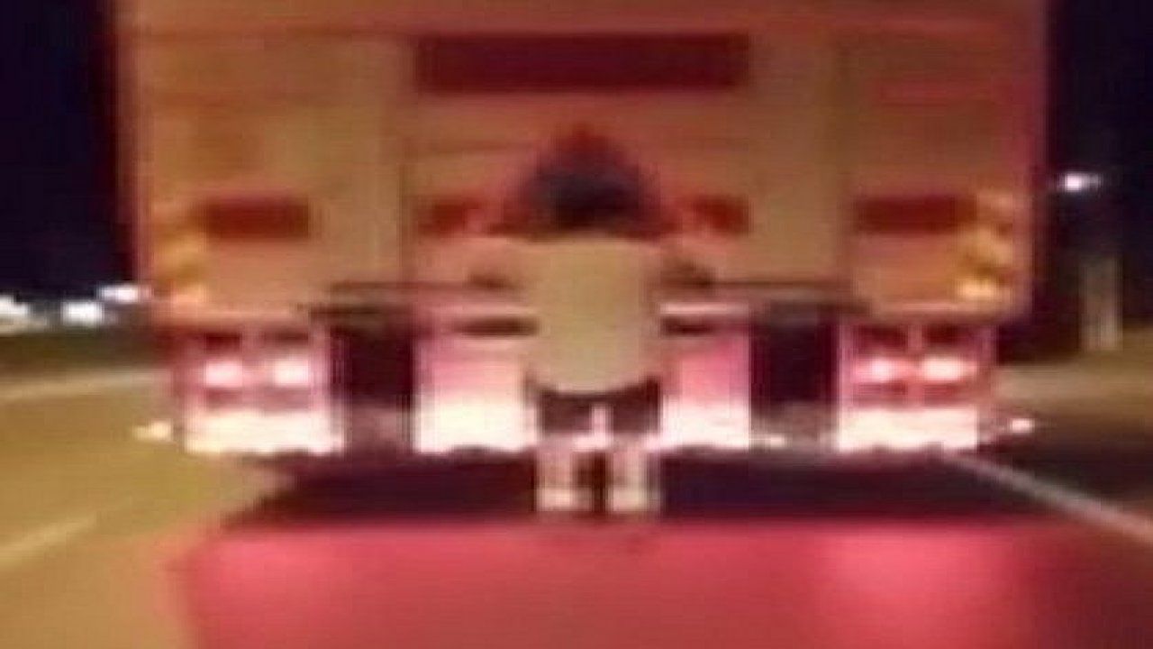 Patenle Ölümüne Yolculuk