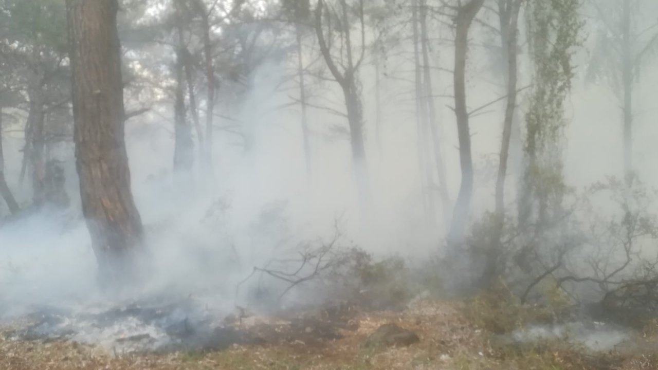 Datça’da 3 Dönüm Ormanlık Alan Kül Oldu