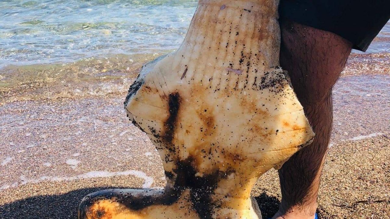 Denizde Yüzerken Kadın Heykeli Buldu  