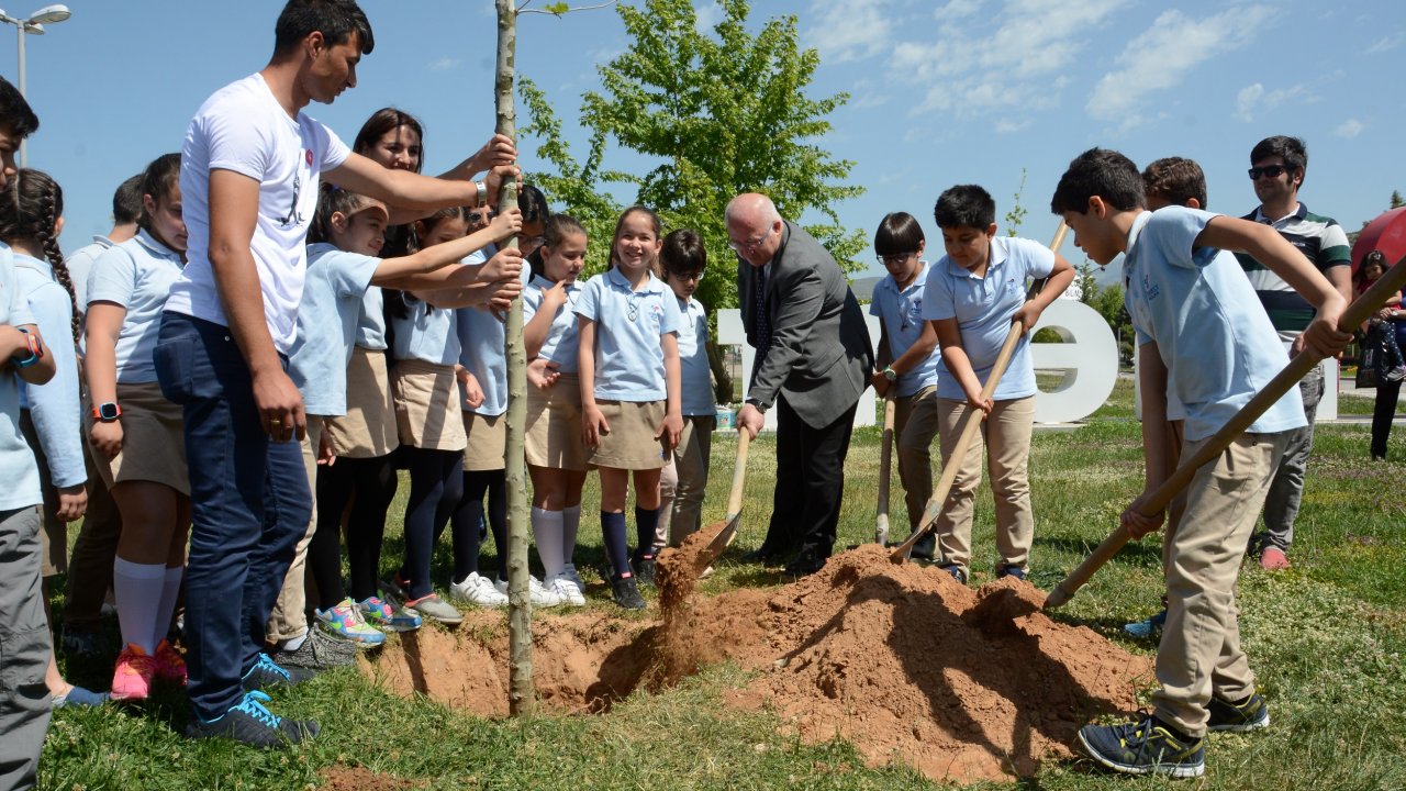 19 Mayıs’ın Yüzüncü Yılı İçin Çınar Ağacı Diktiler