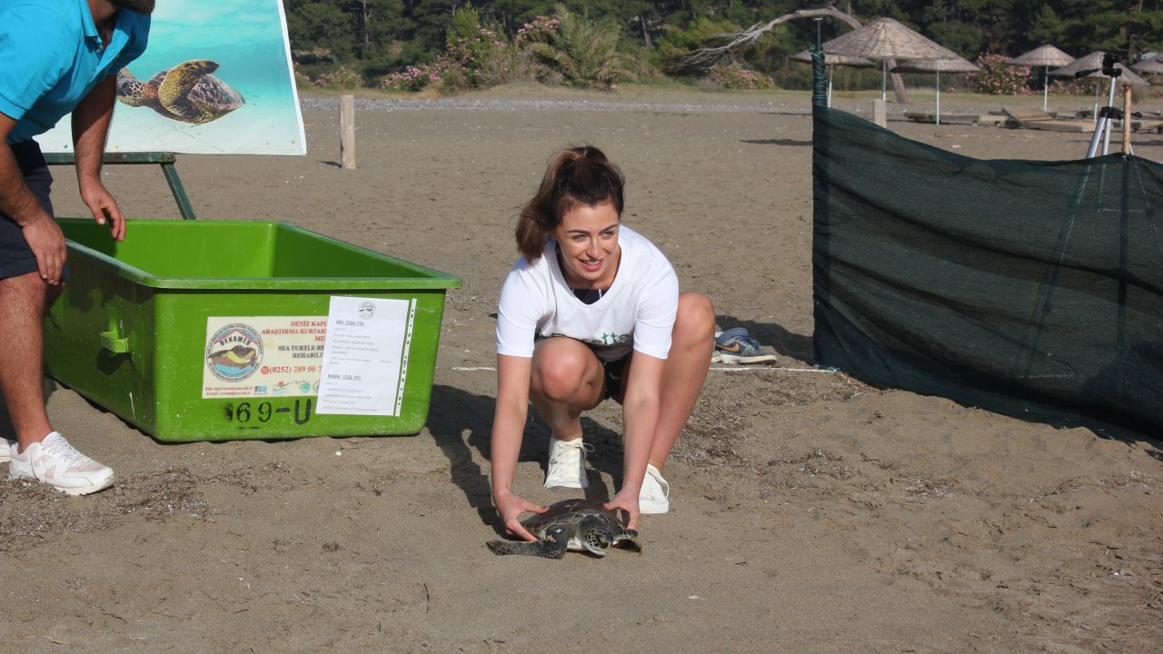 İngiltere Güzellik Kraliçesi Kaplumbağayı Denize Bıraktı  