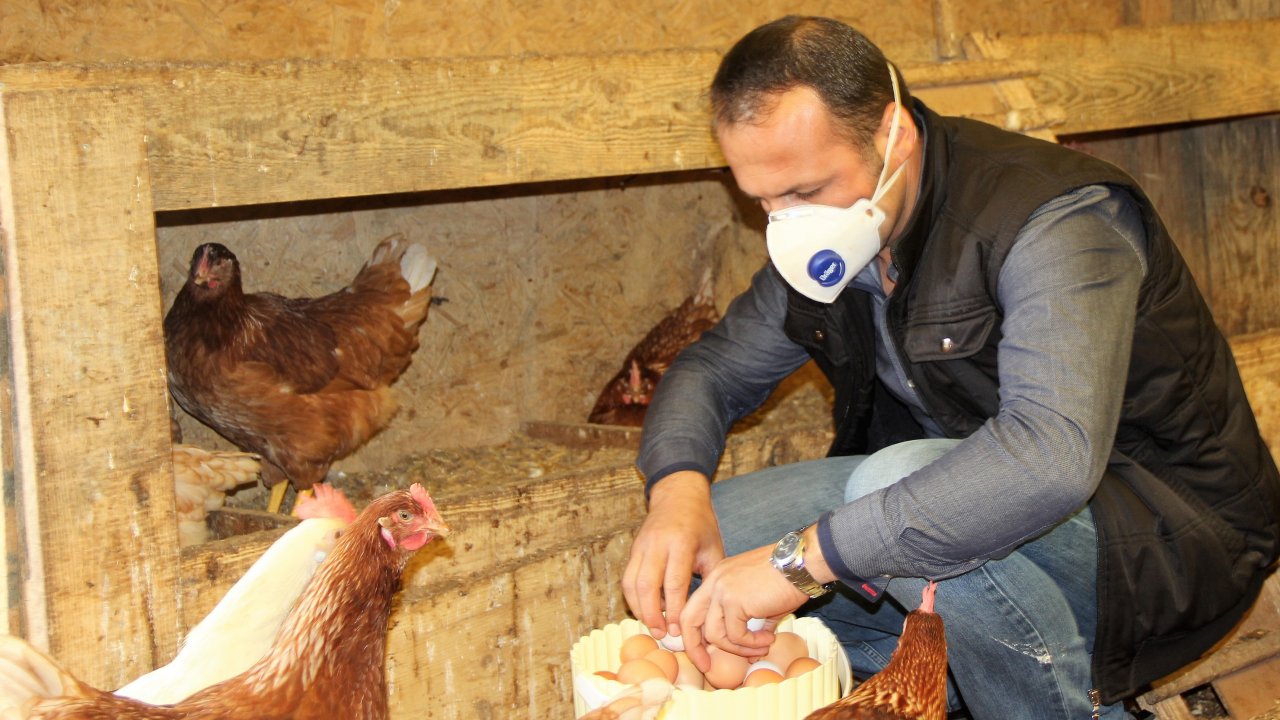 Arkadaşından ödünç aldığı 1 horoz 2 tavuk hayatını değiştirdi