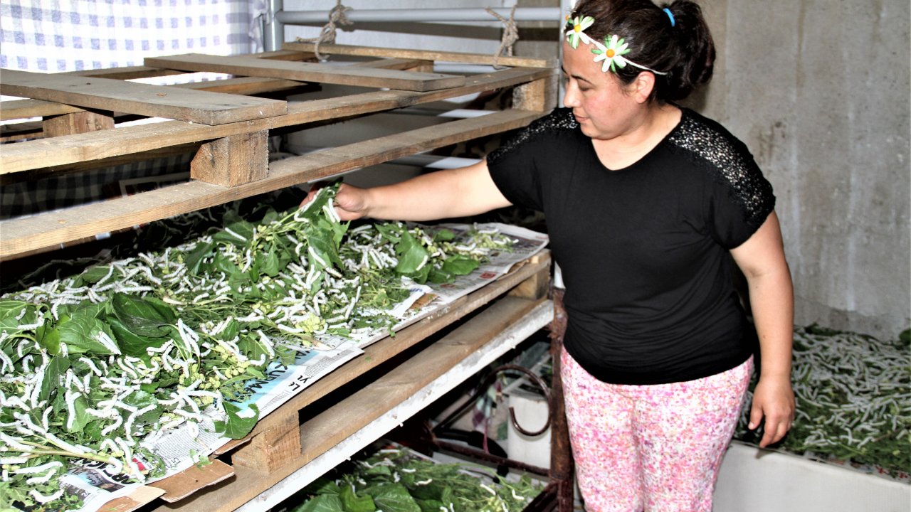 Tek Başına Bir Geleneği Sürdürüyor  