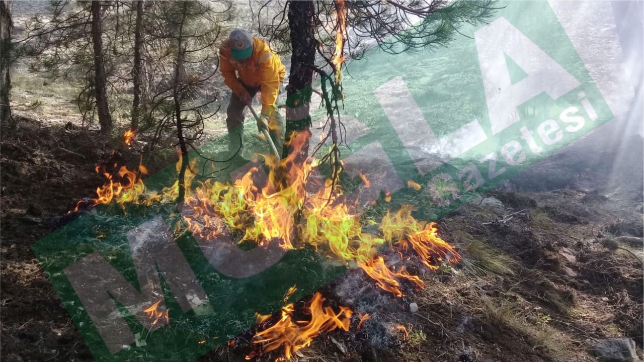 MUĞLA'NIN CİĞERLERİ YANIYOR