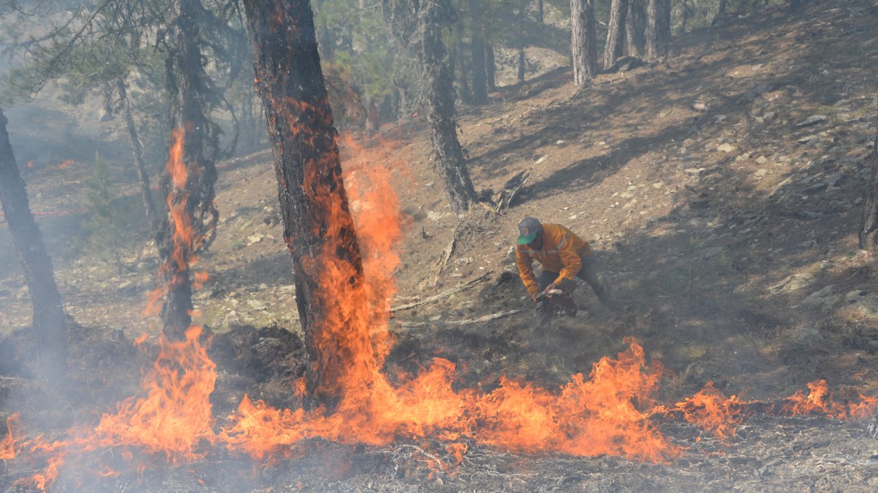 Muğla’nın Ciğerleri Yanıyor