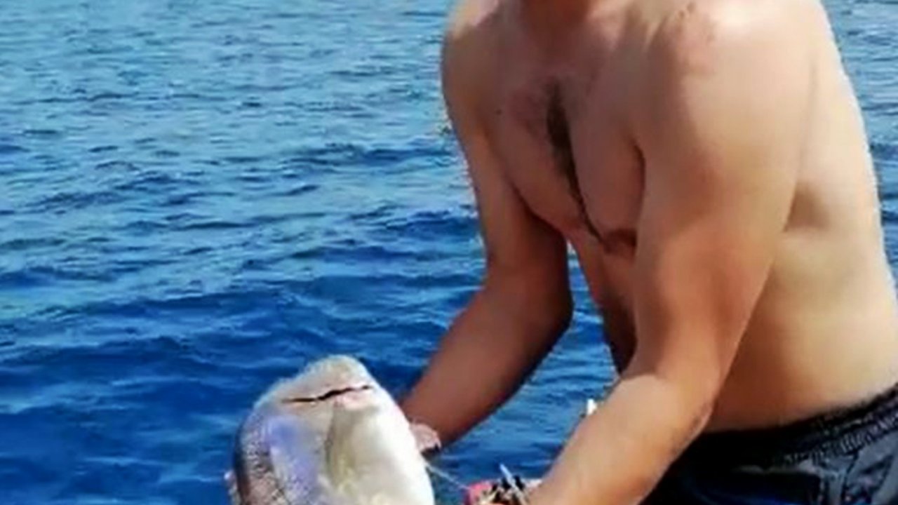 Denizde Kaçak Av Denetimi