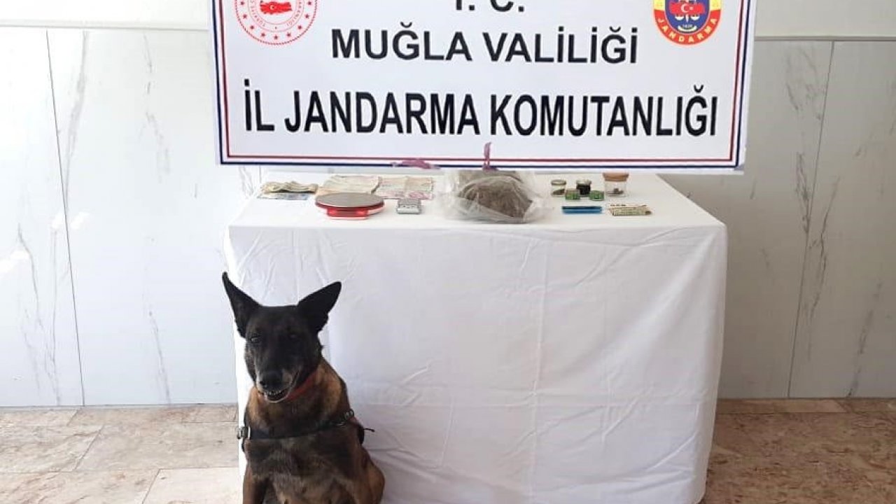 Fethiye'de Uyuşturucu Operasyonu: 2 Gözaltı