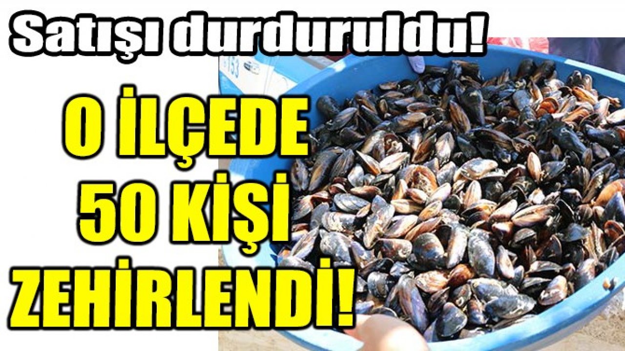 Bodrum’da 50 Tatilci Midyeden Zehirlendi  