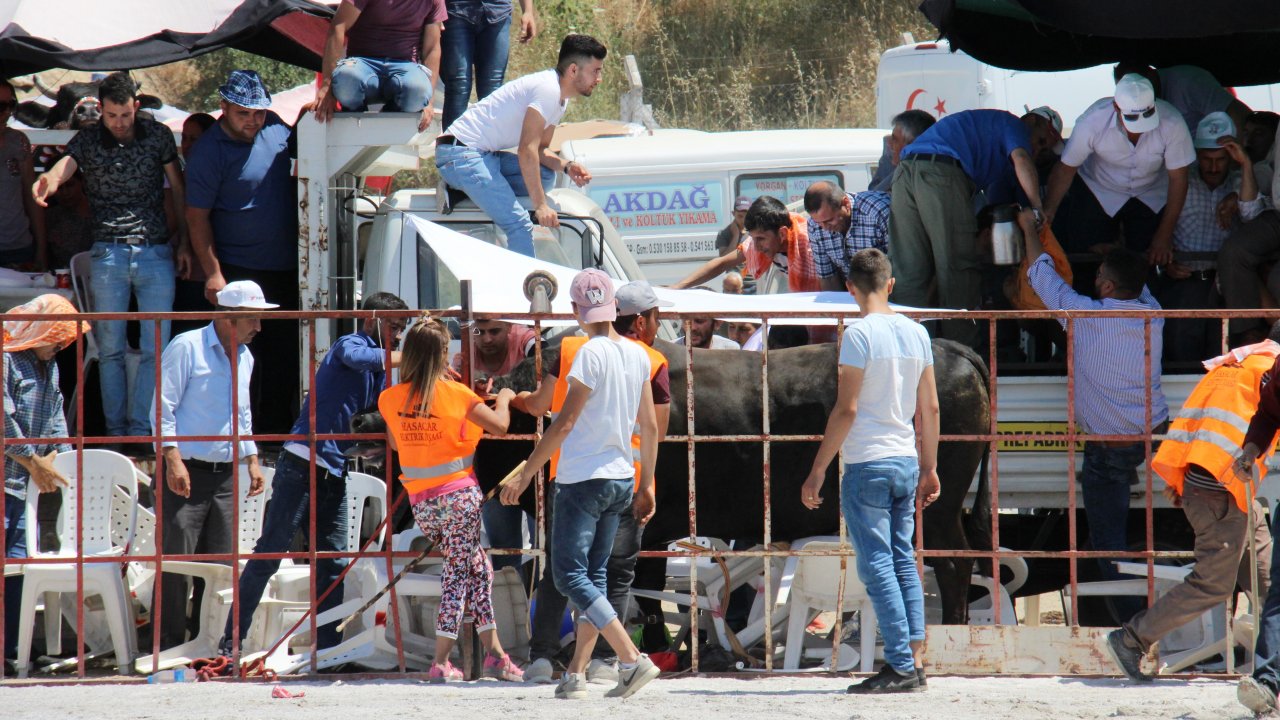 Boğa Seyircilerin Arasına Daldı