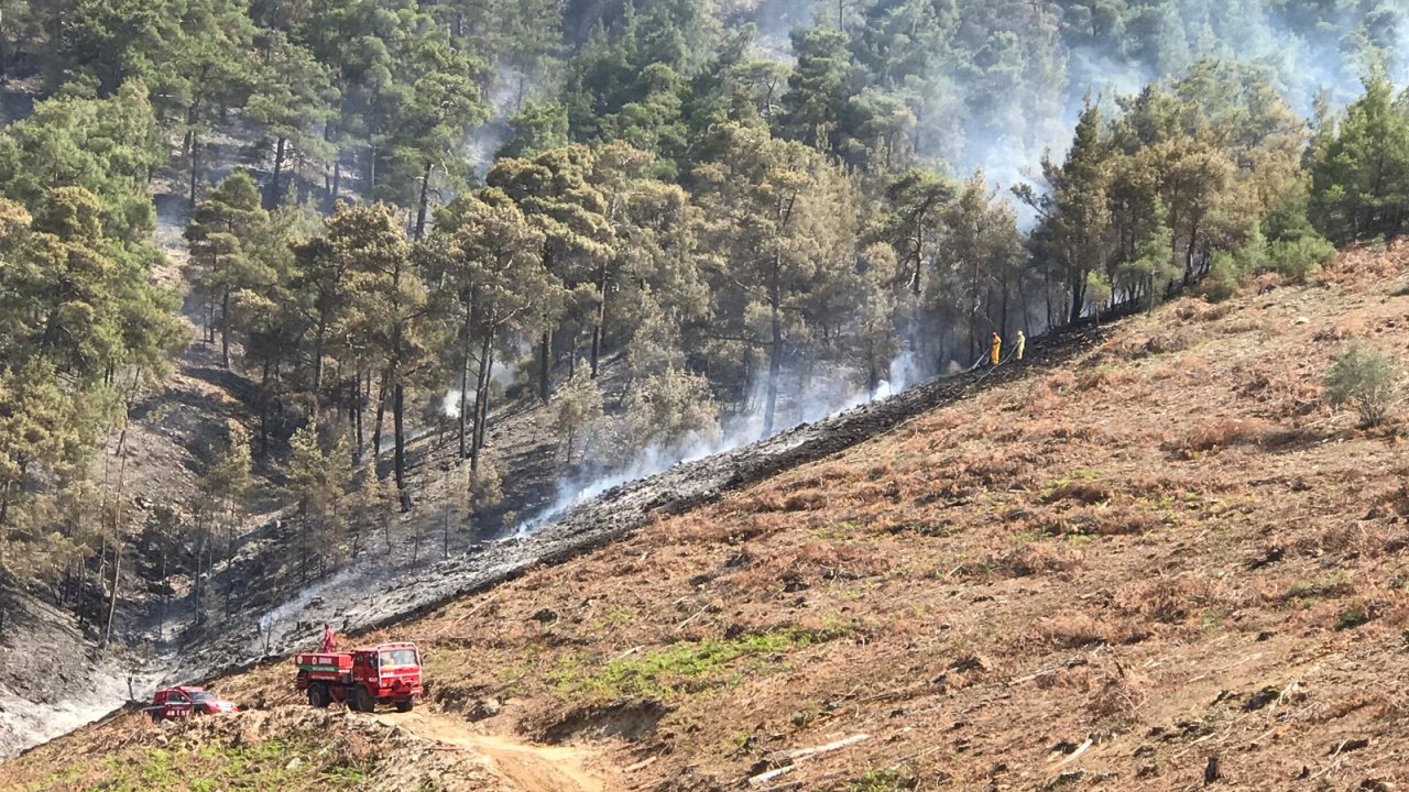2 Hektar Kızılçam Koru Ormanı Yandı