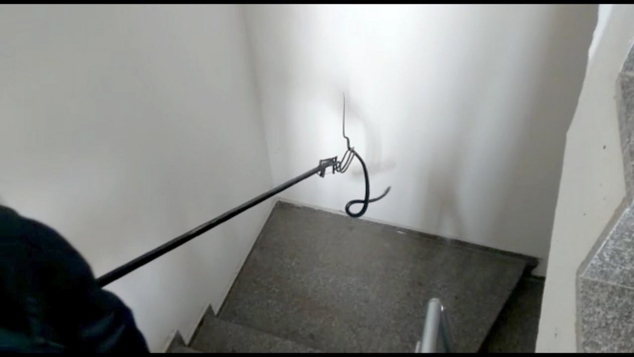 Diyet Merkezinde Yılan Yakalama Operasyonu  